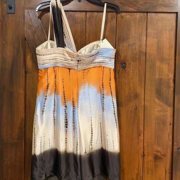 BCBG DipDye Ombre Nectaricom Dress Sz10 - Picture 3 of 5